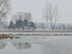 -大兴滨河森林公园