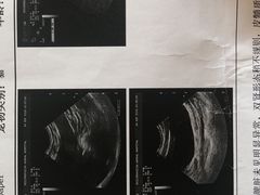 -北京赛佳动物医院