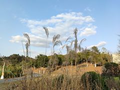 -东莞植物园