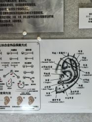 点击看大图 -小部落•刺青•穿孔饰品•海娜纹身