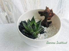 -荷兰布尔玛国际花艺学院