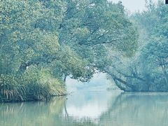 -西溪国家湿地公园