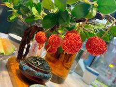 -唐猫庭院·千年陕菜(大唐不夜城店)