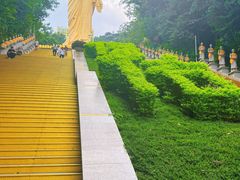 -西双版纳勐泐文化旅游区