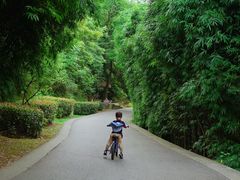 -贵阳市花溪国家城市湿地公园