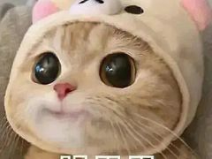 -顺丰国宴(工业博物馆店)