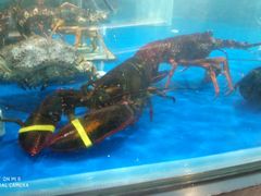 -盒马鲜生(杭州运河上街店)