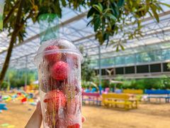 -西部长青自然儿童乐园