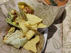 -油梨树 AVOCADO TREE(亮马桥店)