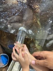 -Zoolung Zoolung动物主题公园(海信广场店)