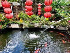 -寻味顺德·南记酒家·传统顺德菜·鱼生(广源路店)