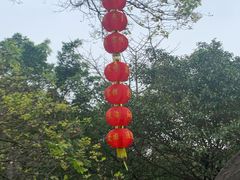 -广州市白云山风景名胜区