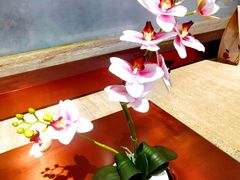 餐具摆设-奈雪的茶(花城汇中区PRO店)