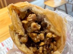 -海丝金凤(金鱼店)