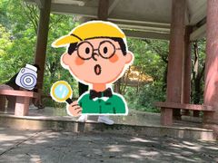 -广州市帽峰山景区