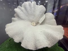 -游龙石文化科普馆