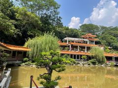 -深圳仙湖植物园