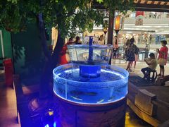 -佬麻雀·剁椒鱼头(京基KK One店)