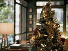 -咖法森林·咖啡  酒吧(天河店)