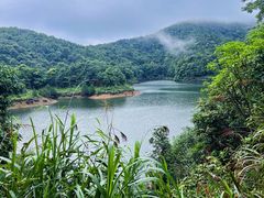 -广州市石门国家森林公园