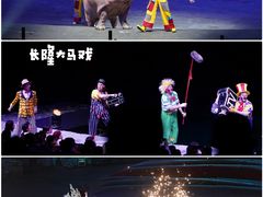 -广州长隆国际大马戏