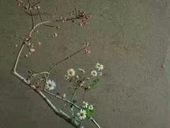 -乐享养生(东湖店)