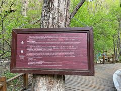 -吉林市朱雀山国家森林公园