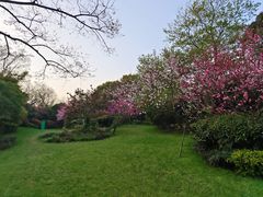 -桃花岛景观公园
