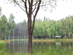 -东郊湿地公园