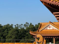 -深圳仙湖植物园