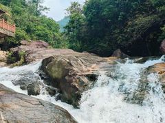 -广州白江湖森林公园