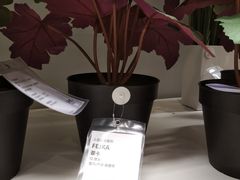 -IKEA宜家家居(南京商场)