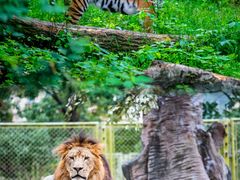 -乐和乐都主题乐园