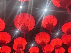 -二胖家铁锅炖大鹅(双井店)