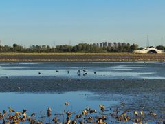 -天津东丽湖风景区