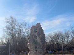 -绿堤公园
