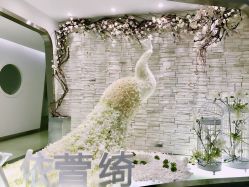景观位-依萱绮医疗美容