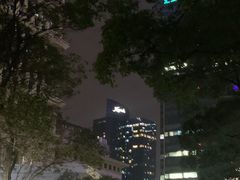 -上海凯宾斯基大酒店