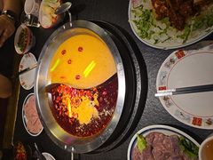 -山城棒棒军手作火锅·天花板手撕水牛鲜毛肚(北京店)
