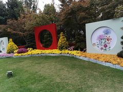 -青枫公园