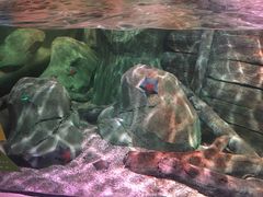 -沈阳海洋探索中心