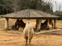 -杭州野生动物世界
