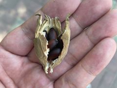 -长安大学(北校区)