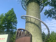 -黄海国家森林公园