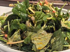 -水韵绿洲生态大酒店