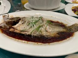 -苏州希尔顿酒店-宴会厅