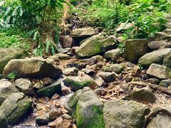 -火炉山森林公园