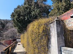 -潭柘寺景区