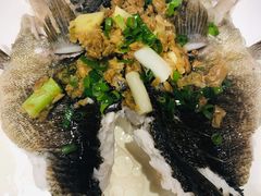 清蒸笋壳鱼-东海海鲜酒家(中信广场店)
