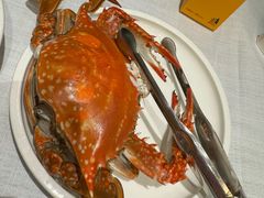 -开海·红岛海鲜虾水饺(石老人店)
